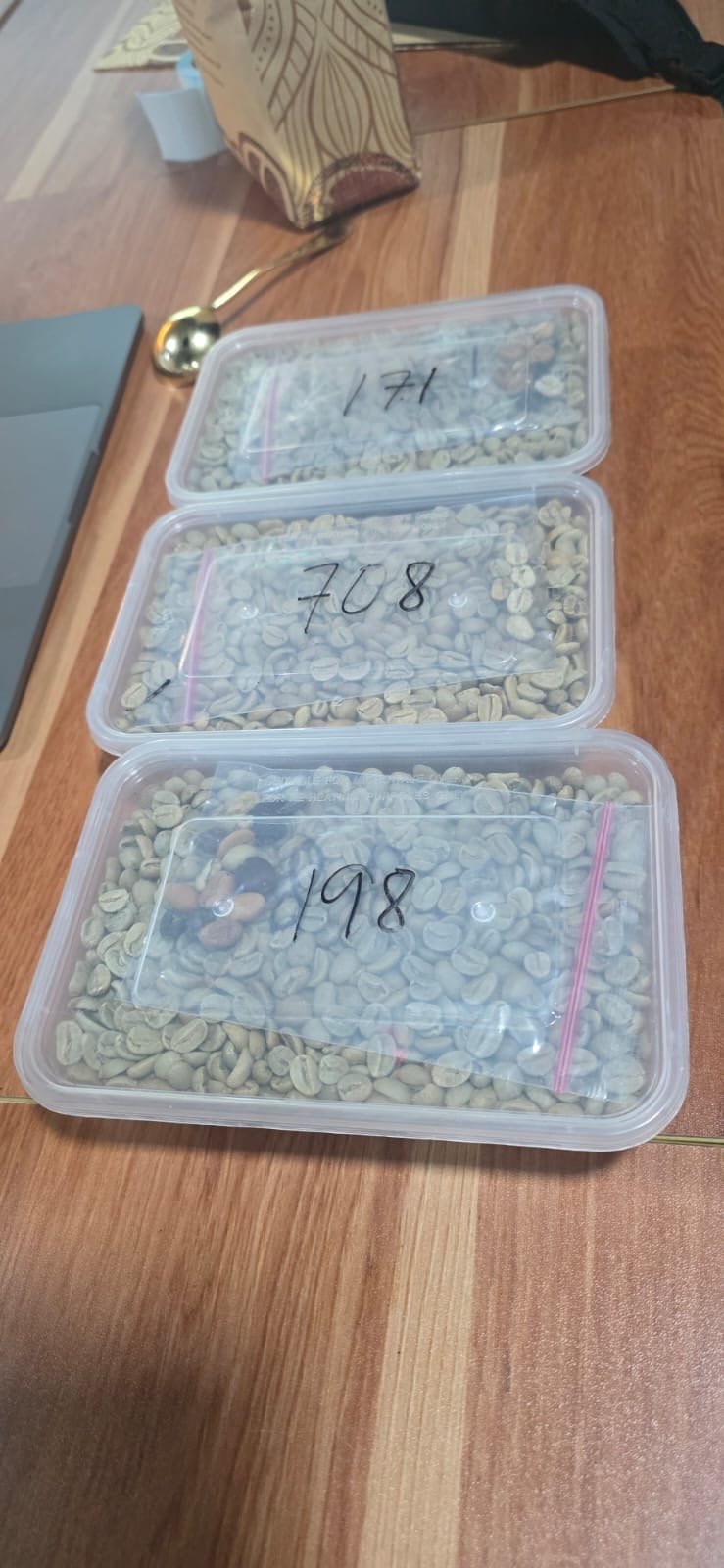 Green coffee samples in separate containers