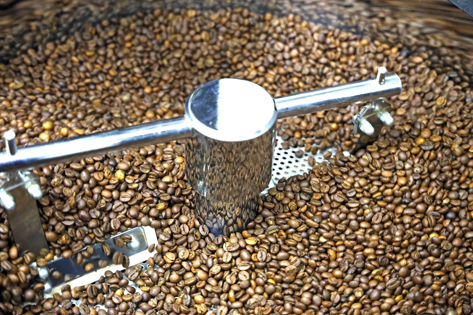 Roasted coffee beans in a roasting machine