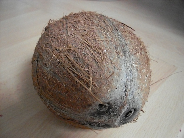 Whole and opened coconuts