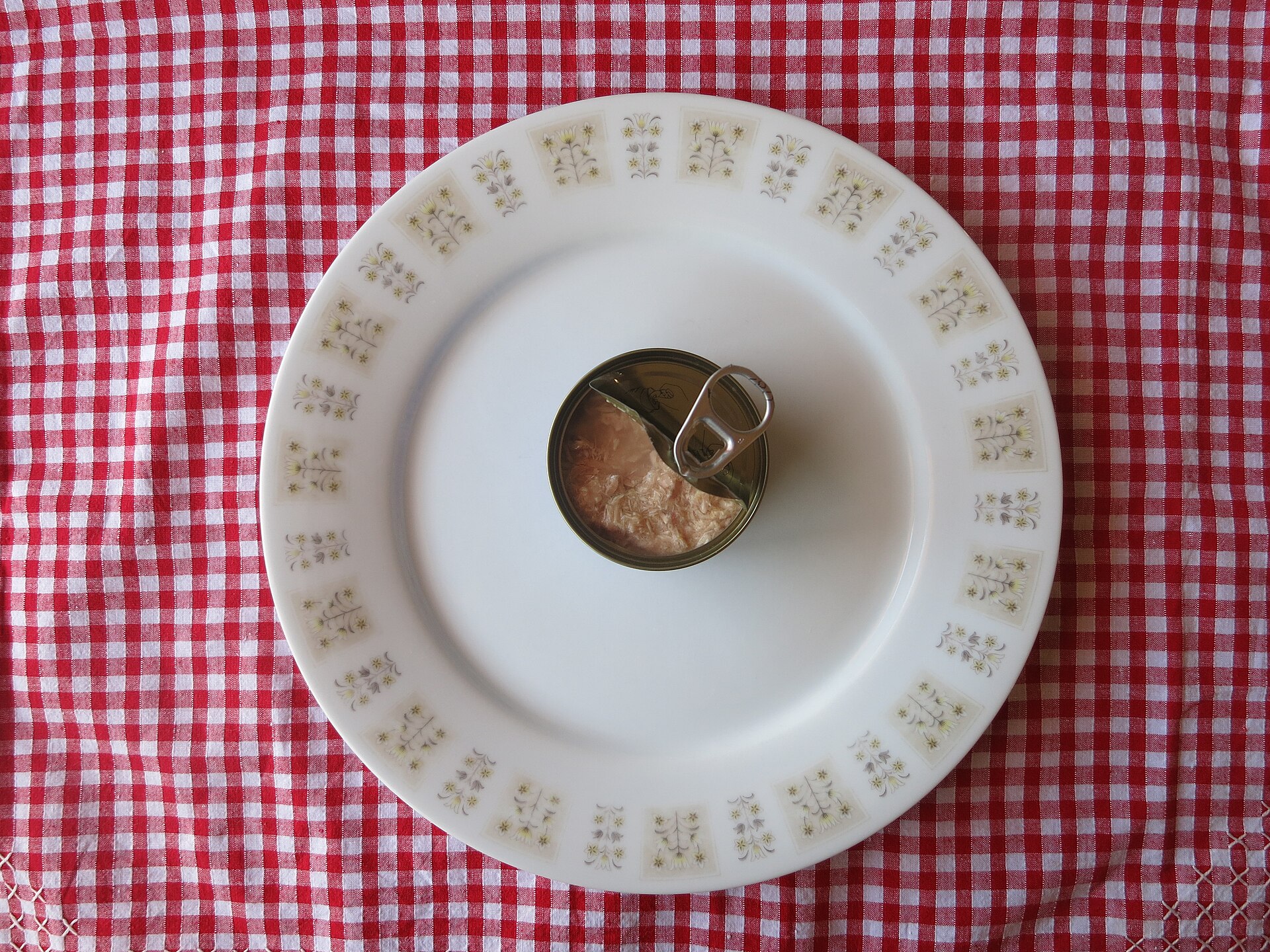 Flaked tuna in spring water in an open can