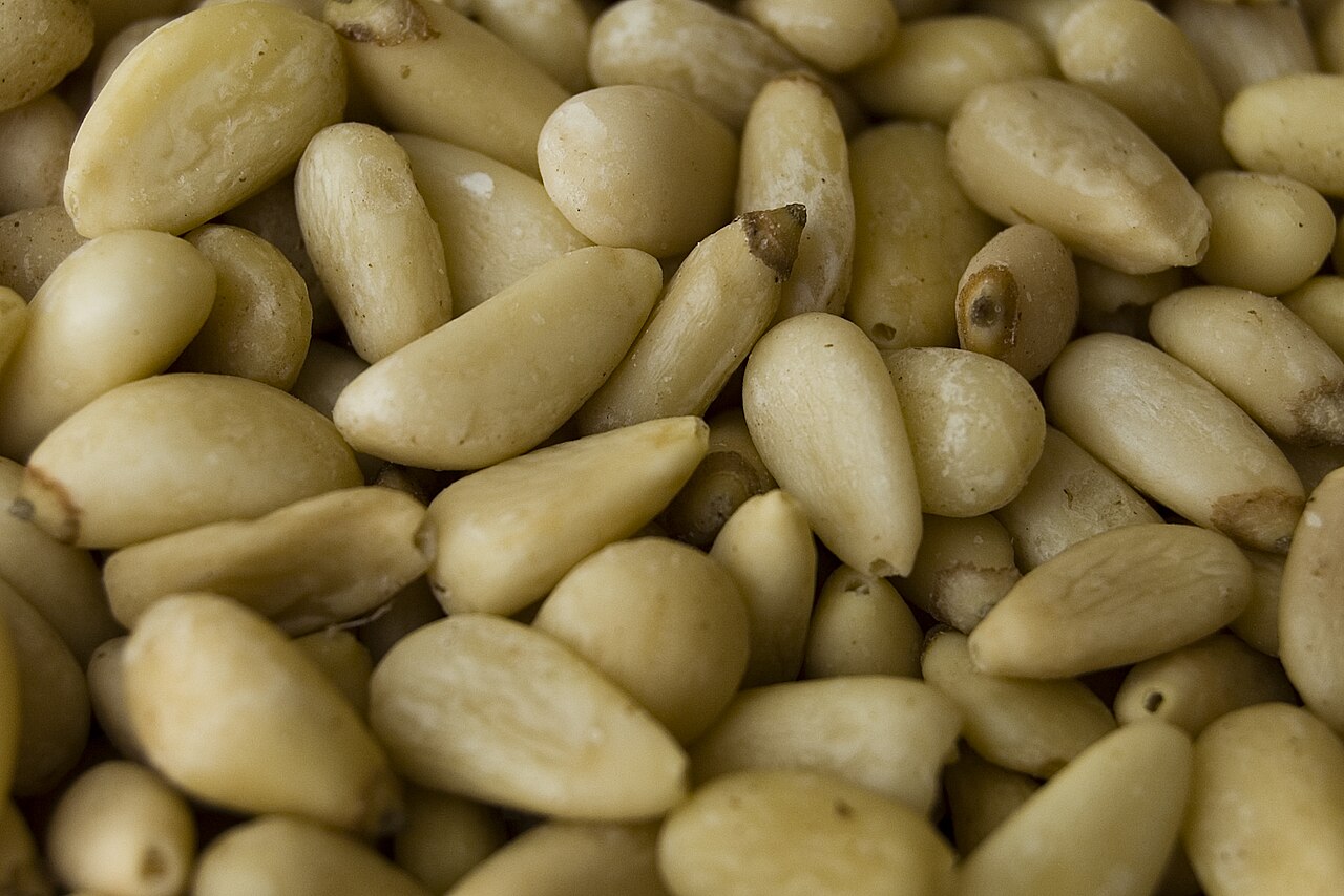 Close-up of shelled pine nut kernels